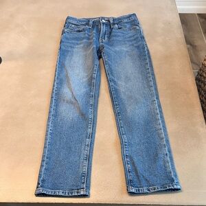 Boys Blue Denim Skinny Jeans
